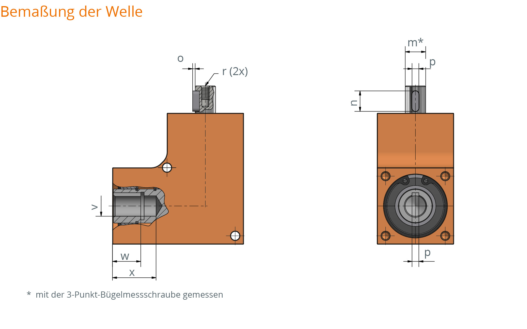Innenansicht der gehärteten Kegelräder im Ket-Bee 200X LxC