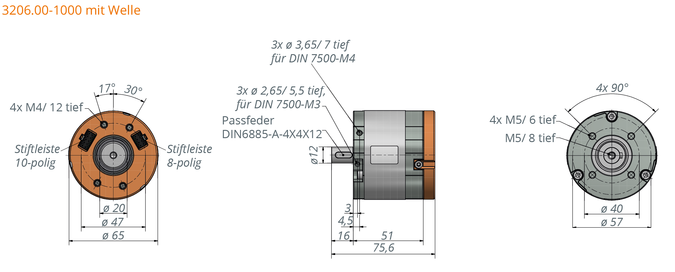 t-Rex 3206 I-65-51-L34 S2 (short version, focus rotational speed) at 24 VDC Technische Zeichnung BLDC-Motor 3206 mit Welle
